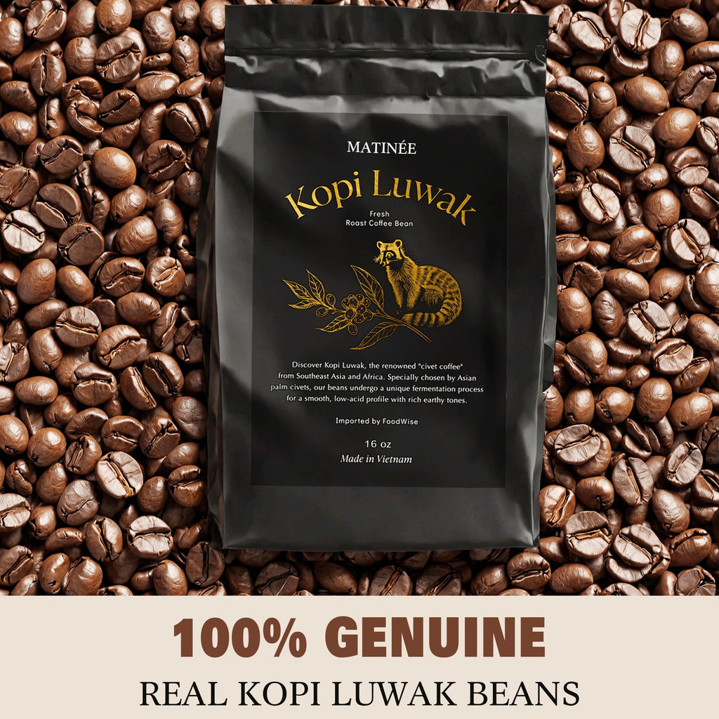 MATINÉE Wild Kopi Luwak Coffee Beans, Medium Roast, Whole Bean Coffee, Sustainably Sourced From Vietnam, 16oz / 454 Grams