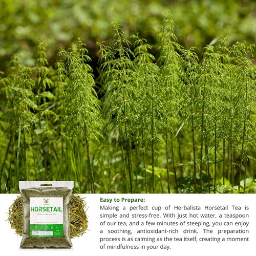 Herbalista Premium Loose Horsetail Tea (4 oz | 113g) | 100% Natural Cola de Caballo Herbal Tea | Shave Grass | Makes 50-60+ Cups | Stand-Up Resealable Bag | Crafted by Nature