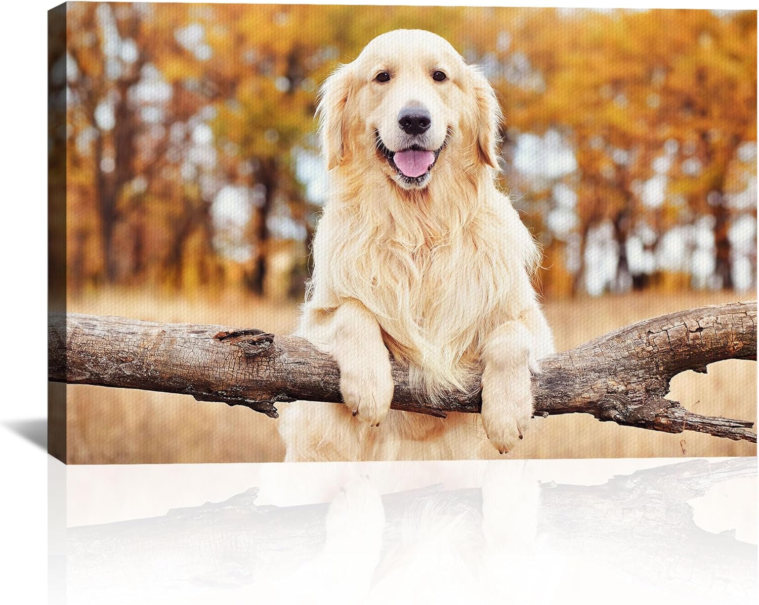 Skiennix Custom Canvas Prints - Personalized Photo Wall Art for Family & Pets | Framed 10x8
