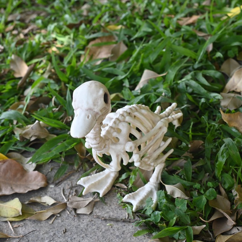 Halloween Skeleton Baby Duck Decoration - Whimsical Bone Line Halloween Decor
