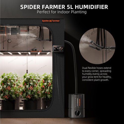Spider Farmer New 450ml/h Humidifier for Plants Grow Tent Large Room, GGS Smart Customized Humidity Control Cool Mist with Extendable Targeting Hose and Temp & Humidity Probe Indoor Black 5L (Upgrade)