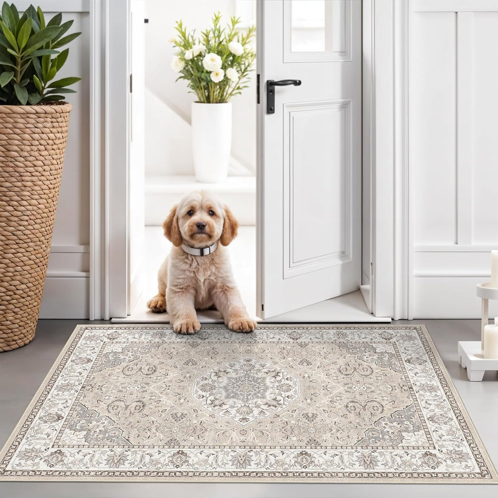 Regine Switzerland Washable 2x3 Entryway Area Rug - Soft Non-Slip Vintage Kitchen Runner in Beige