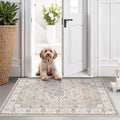 Regine Switzerland Washable 2x3 Entryway Area Rug - Soft Non-Slip Vintage Kitchen Runner in Beige