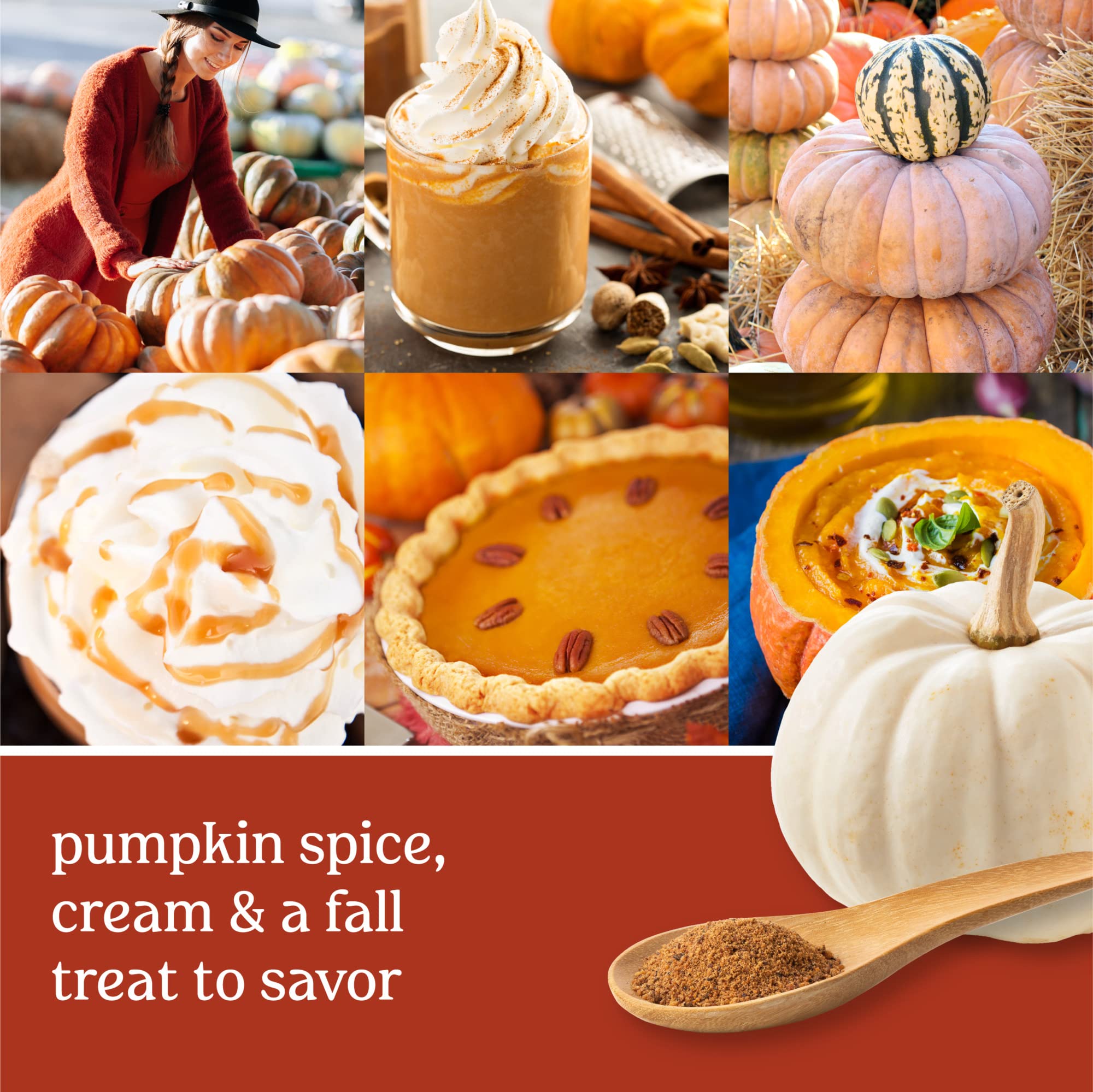 Yankee Candle Spiced Pumpkin Scented Signature 20oz Large Jar 2-Wick Candle Over 60 Hours of Burn Time