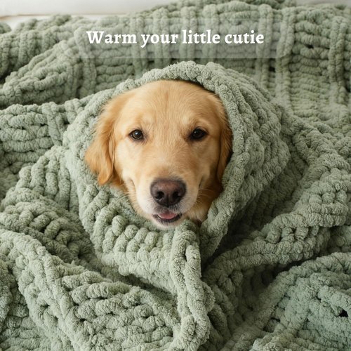 Battilo Chunky Knit Blanket Throw，Sage Throw Blanket for Couch, Thick Warm Soft Cozy Knitted Chenille Throw Blanket for Sofa, Bed, Living Room, 50"x60"