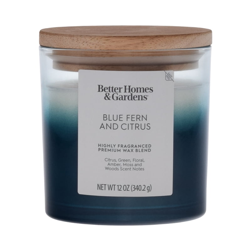Blue Fern and Citrus Scented 2-Wick Ombre Jar Candle - 12 oz