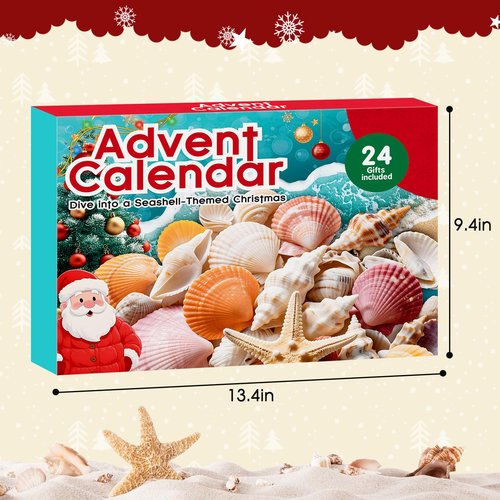 Advent Calendar 2025 for Kids - 24 Days Christmas Countdown Calendar with Seashells, Starfish and Conchs - Educational Toy Marine Science Gift Set for Children Girls Boys