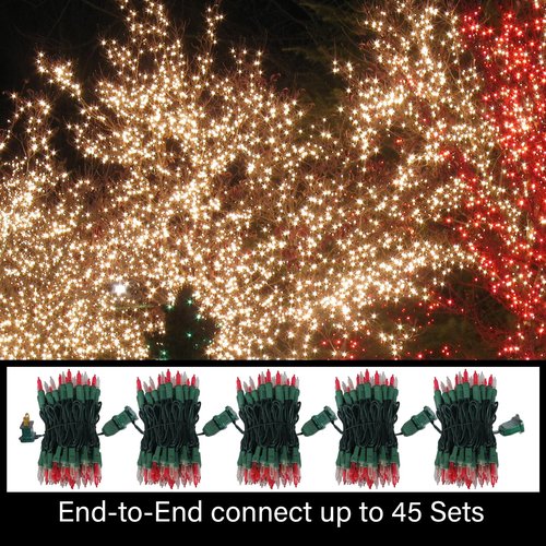 LAMPHOME 100 Mini LED Count Red and Warm White -String Lights - 21.6FT LED Christmas Lights, Mini led Lights for Outdoor Home Holiday Party Wedding Independence Day Decoration