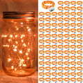 Skiennix 20 LED Fairy Lights - 7Ft Waterproof Twinkle String Lights for Mason Jar & Party Decor | Orange