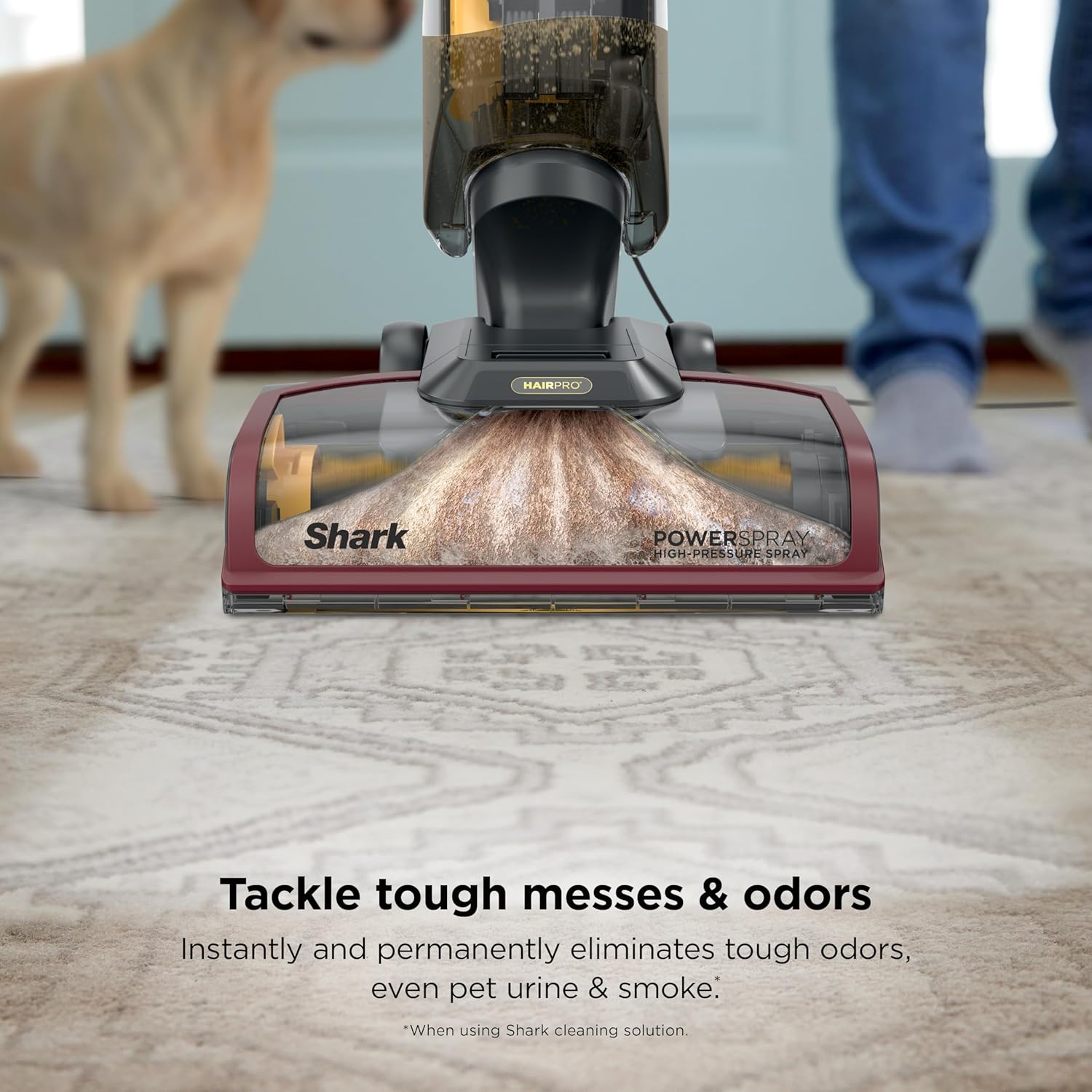 Shark CarpetXpert HairPro - Upright Carpet & Area Rug Cleaner | Effective Pet Hair Removal & Odor Elimination | Magenta