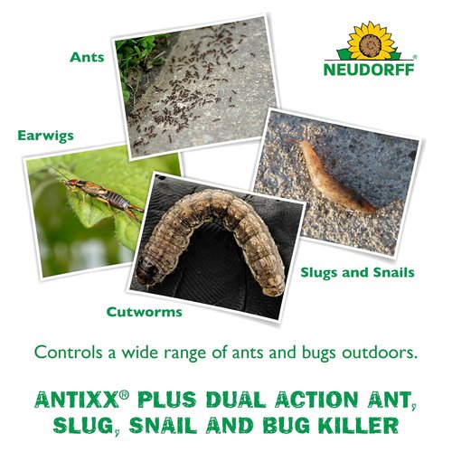 Neudorff ANTIXX Plus Ant & Insect Control Granules - Organic Solution for Ants, Crickets & More
