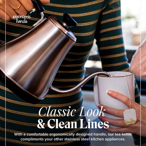 Electric Gooseneck Kettle - 0.8L, 120 Volt, Stainless Steel Electric Tea Kettle - Water Pot Heater/Warmer, Coffee & Tea