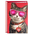 Hallmark Pink Sunglasses Cat Valentine's Day Card with Light and Sound (Luv Mew) for Kids, Teens, Friends