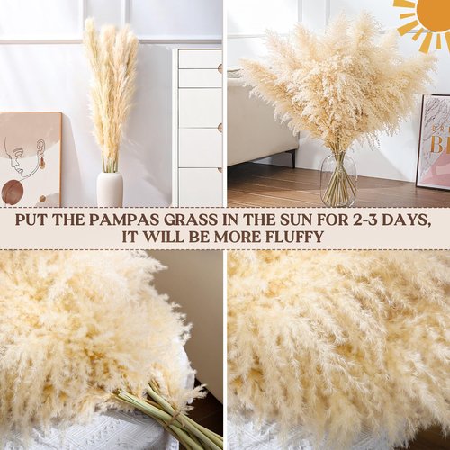 40" 11 PCS Dried Pampas Grass Decor Tall,Large Natural Beige pompas Grass,Tall Pampas Grass for Floor Vase,Wedding,Party,Farmhouse,Boho Home Decor,and Creating a Bohemian Ambiance