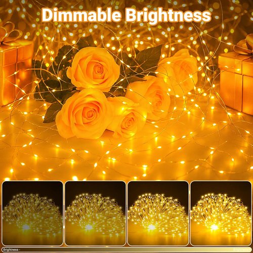 Litogo Fairy Lights - 33FT 100LED Battery Operated String Lights with Timer | Dimmable 8 Modes for Indoor Decor