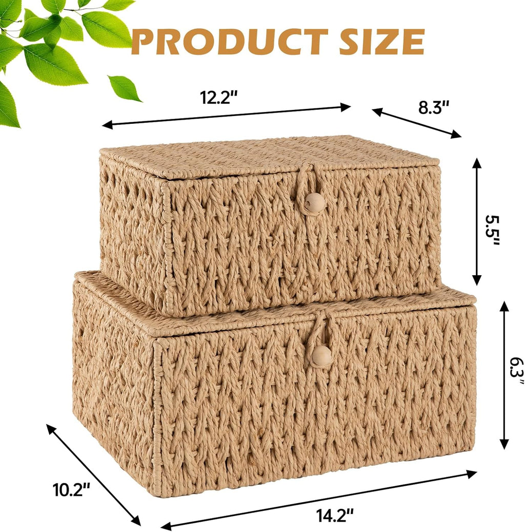OIAHOMY Wicker Storage Baskets - Lidded Organizing Bins with Lock | Set of 2 in Natural Color