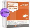 HOSPITOLOGY PRODUCTS Mattress Encasement - Hypoallergenic Bed Bug & Dust Mite Proof - Queen Size - Waterproof & Stretchable