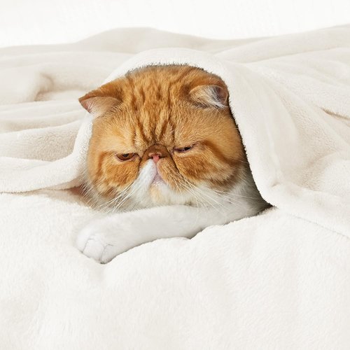 Bedsure GentleSoft Fleece Blanket - Cozy Lightweight Plush California King, Cream, 102x96 Inches