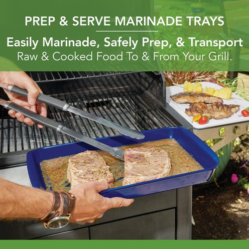 Tovolo Steak Marinating Container with Lid Large Grill Marinade and Prep Tray Set for Meat Veggies Burgers, Dishwasher Safe BBQ Marinating Tray with Cover for Thawing Prepping or Serving 17x10.5 in