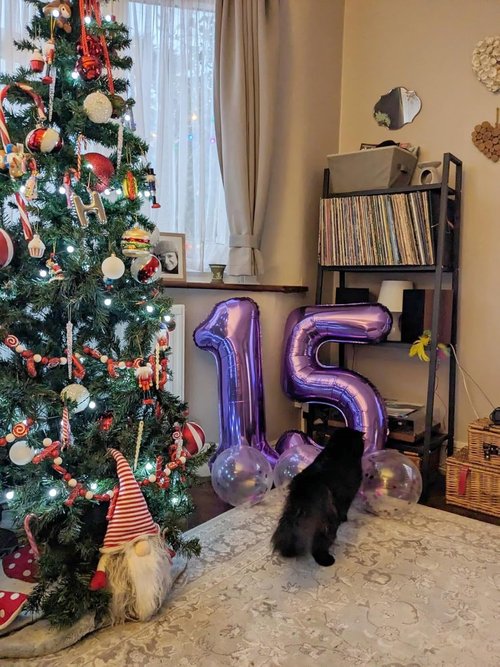 14-Inch Purple Foil Number Balloons by [Brand Name] - Large 14th Birthday Decorations for Events