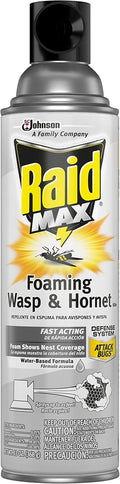 Raid Wasp & Hornet Killer Spray - Effectively Eliminates Nests & Stinging Insects | 13 oz
