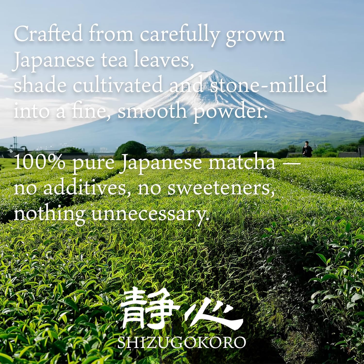 SHIZUGOKORO Authentic Japanese Matcha Green Tea Powder - Ceremonial Grade - Uji Kyoto - 30g (1.06oz)