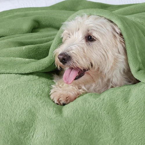 Bedsure GentleSoft Green Fleece Blanket - Cozy Lightweight Plush Queen Size, Emerald 90x90 Inches