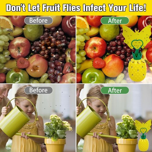 Fruit Fly Trap - Effective Gnat Killer with Non-Toxic Reusable Stickers | 2 Pack for Indoor Use
