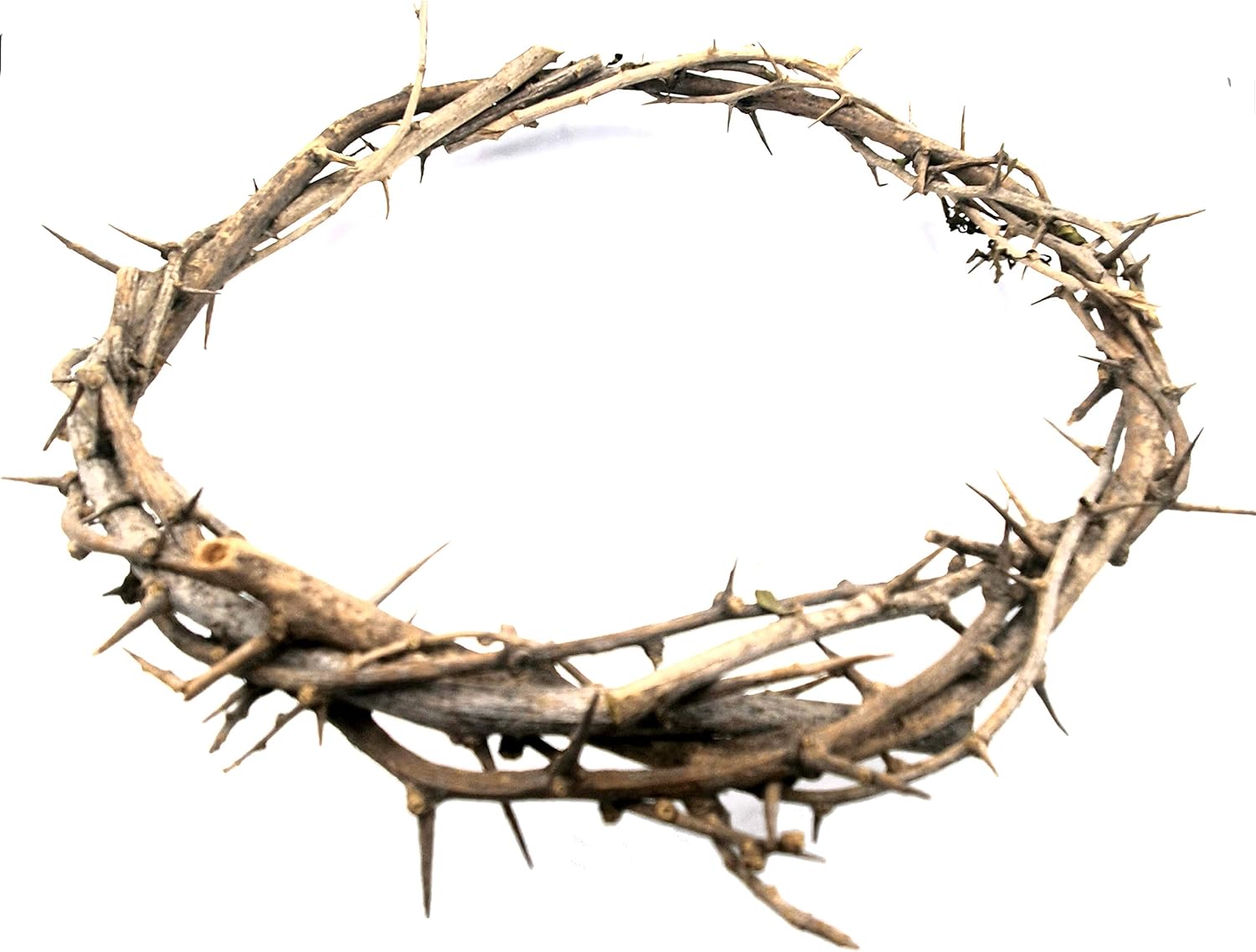 ZULUF Crown of Thorns Ornament - Authentic 7.5" Holy Land Gift from Bethlehem | Passion of Christ