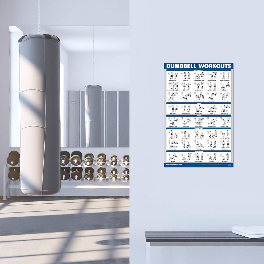 Palace Learning 4 Pack - Laminated Workout Charts for Dumbbell, Barbell, Bodyweight & Kettlebell | 18” x 24”