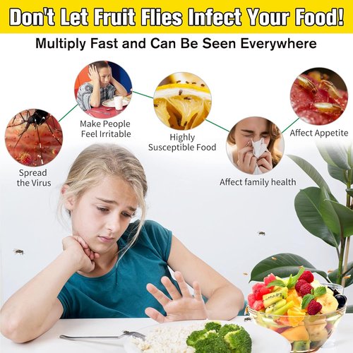 Fruit Fly Trap - Effective Gnat Killer with Non-Toxic Reusable Stickers | 2 Pack for Indoor Use