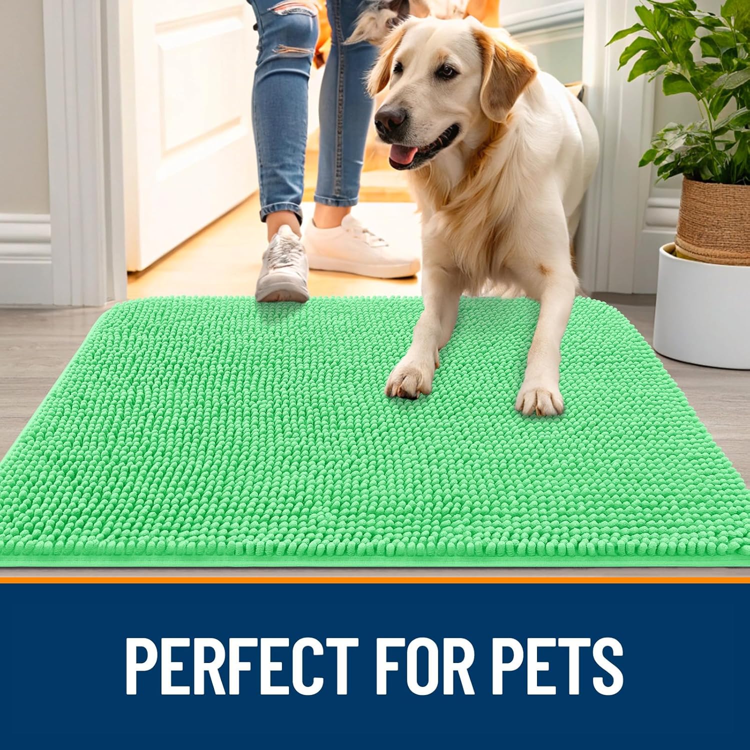 OLANLY Dog Door Mat - Absorbent Non-Slip Chenille for Muddy Paws | 30x20 Inches, Mint Green