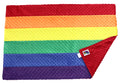 Luxury Minky Dot Plush Rainbow Flag Baby Blanket, 24" x 36"