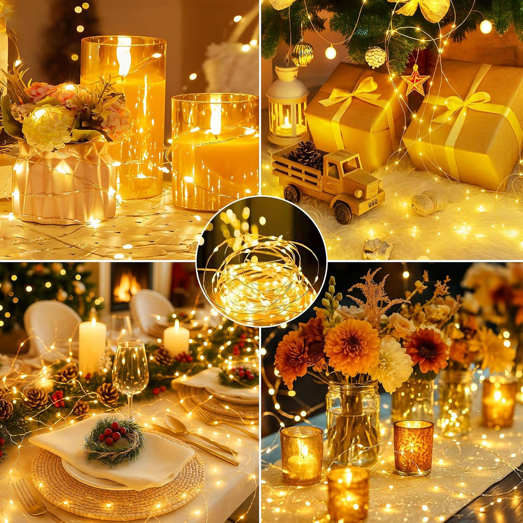 Skiennix 24 Pack Fairy Lights - Battery Operated Mini String Lights with Timer | 7ft Warm White Twinkle Lights for Weddings & Parties
