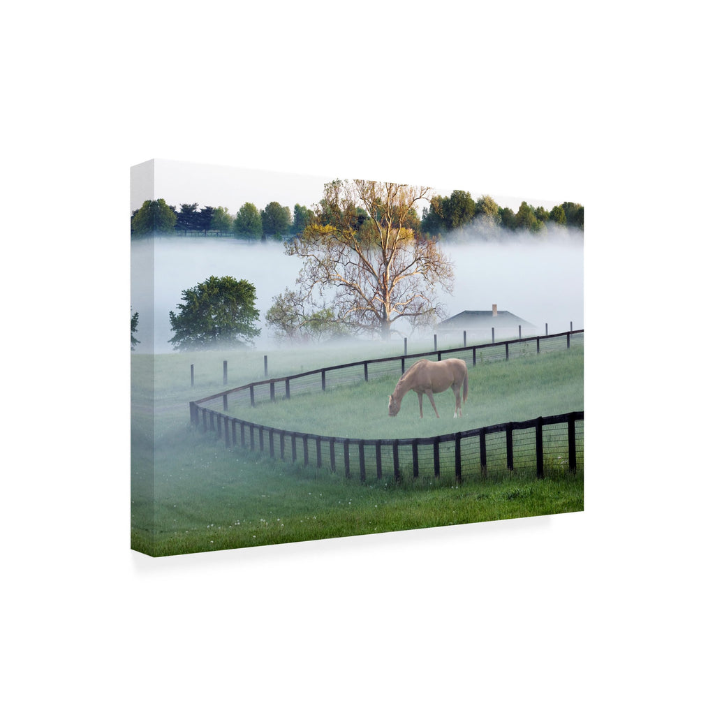 Wrapped Canvas Wall Art - Monte Nagler 'Horses in The Mist Kentucky' Wall Art for Living Room, Bedroom, or Office Décor - 22x32