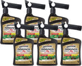 Spectracide Immunox Fungus Plus Insect Control - Dual Action Hose-End Concentrate, 32 Oz, 6 Pack