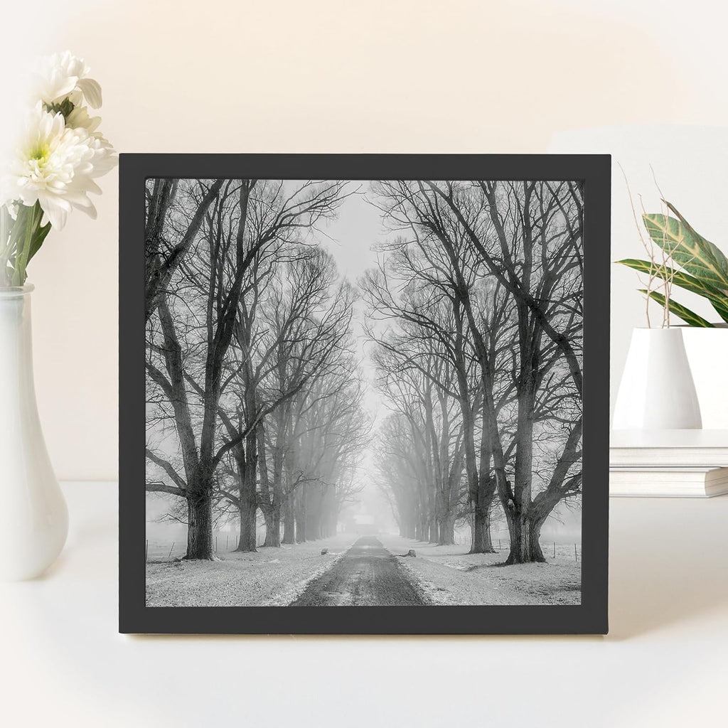 Pera Print - Custom Personalized Photo Poster Printing | Wall Art Prints (12 x 12 Inches)