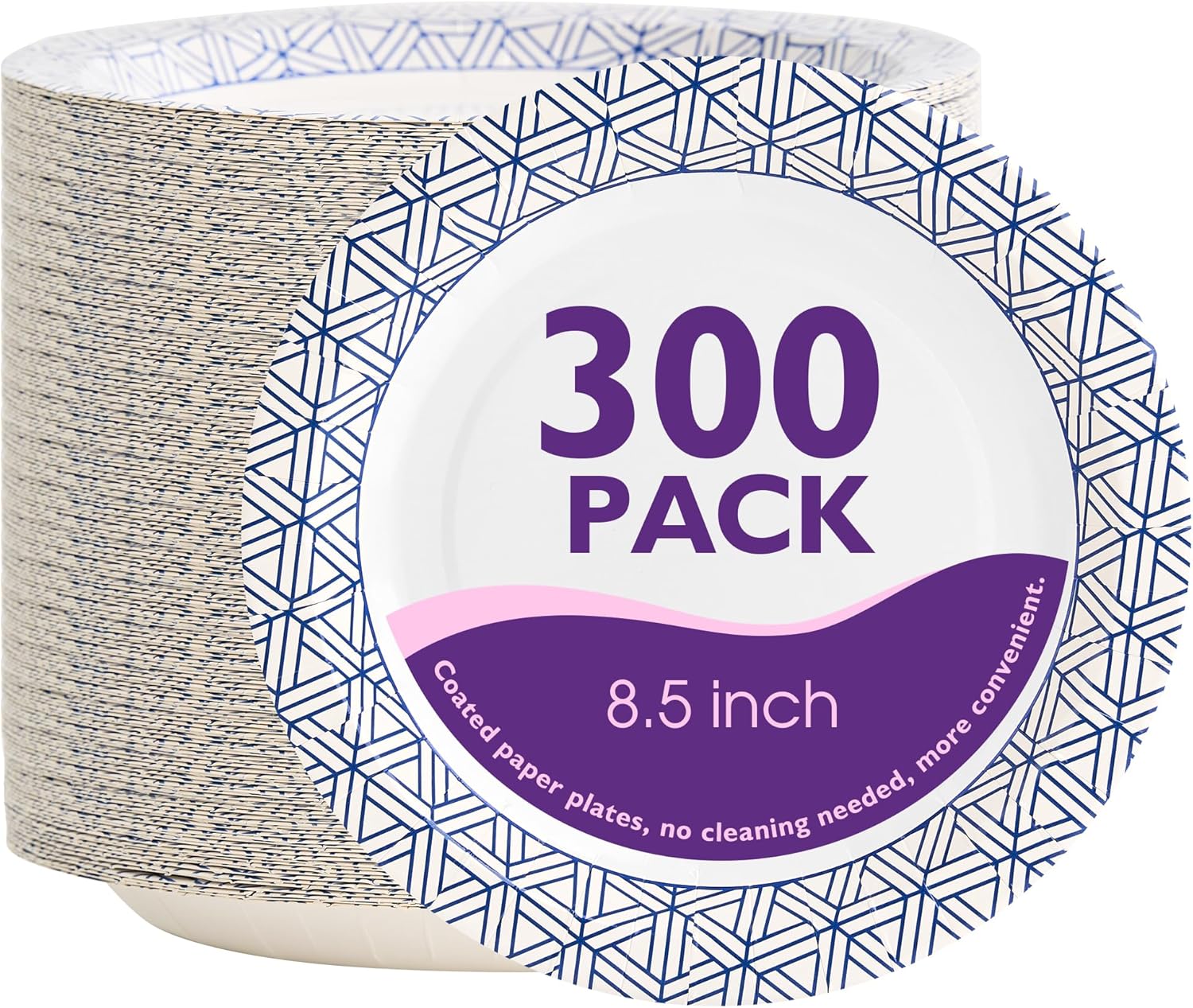 Regine Switzerland Disposable Paper Plates - Heavy Duty, Soak Proof, 8.5 Inch, 300 Count for Parties & Picnics