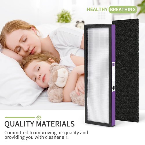 Nisreen FLT5250PT Replacement Filter Compatible with Germ-Guardian Air Purifier AC5250PT, AC5000E, AC5300B, AC5350W, AC5350B, CDAP5500 and More, 2 HEPA and 6 Pre-Filter