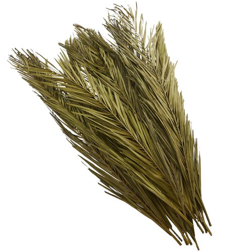 Deco 79 Dried Plant Palm Leaf Home Decor Natural Foliage Natural Dried Foliage with Feather Inspired Stems, Foliage for Decoration 4" x 1" x 43", Green