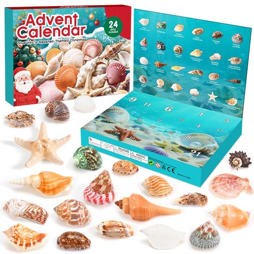 Advent Calendar 2025 for Kids - 24 Days Christmas Countdown Calendar with Seashells, Starfish and Conchs - Educational Toy Marine Science Gift Set for Children Girls Boys
