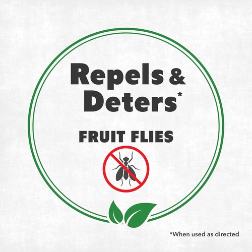 Fruit Fly Spray - Fast-Acting Killer for Kitchens | 16 oz (475mL) by [Brand Name]