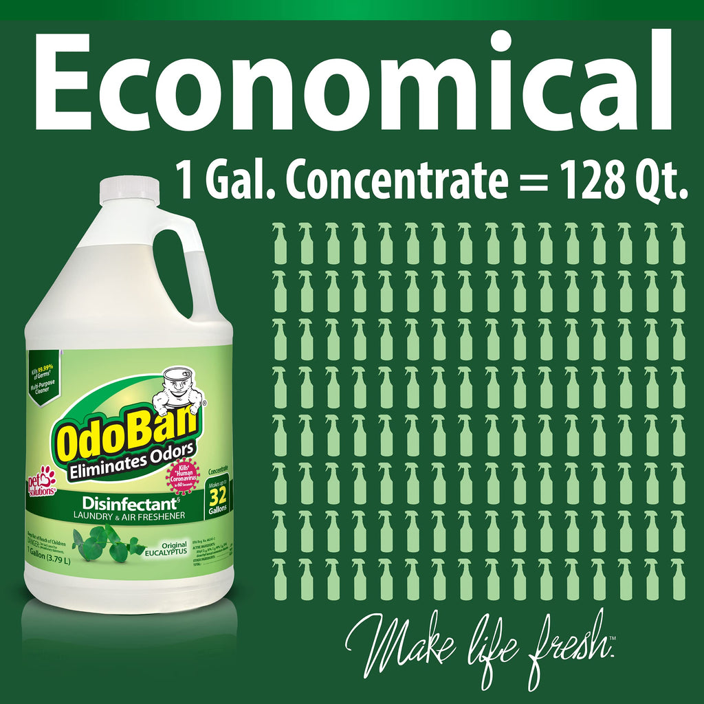 OdoBan Disinfectant Concentrate and Odor Eliminator, Made in The USA, Original Eucalyptus Scent, 8 Gallons