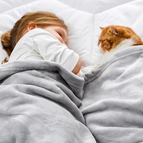 Bedsure GentleSoft Fleece Blanket - Cozy Small Throw for Kids, 43x55 Inches, Light Grey