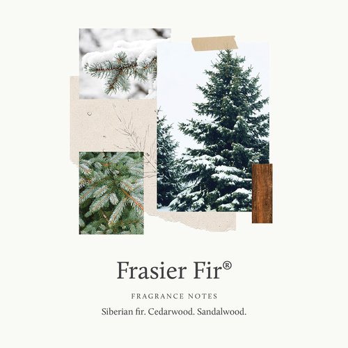 Thymes Frasier Fir Candle – Frosted Plaid Collection – Green & White Glass Jar Design – Scented Candles for Home Decor – Notes of Crisp Siberian Fir, Cedarwood & Sandalwood (Medium, 10 oz)