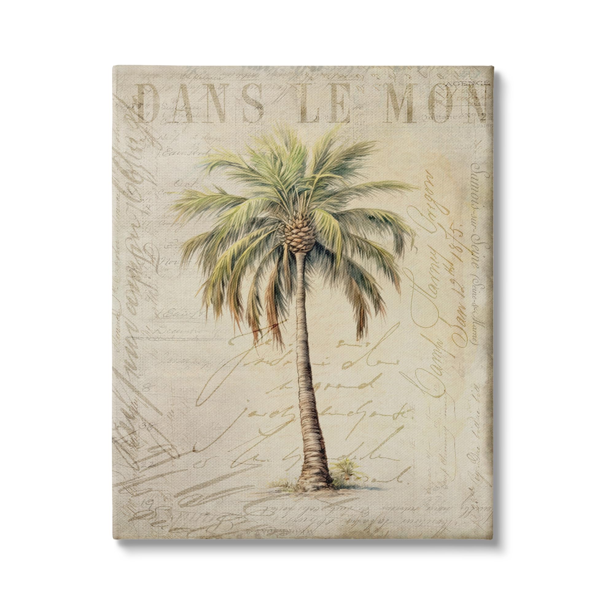 Stupell Industries Vintage Palm Tree Canvas Wall Art by Andrea Haase