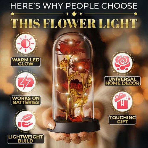 Glass Rose – LED Rose in Glass Dome Flower Lights, Romantic Flowers Roses for Home Decor, Valentine's Day & Birthday Gifts for Women | Home Decor Gifts for Girlfriend – Elegant Lighting Solution