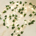 Skiennix Fairy Lights Vine - 40 LEDs Battery Operated Green Ivy String Lights | 2 Pack for Bedroom Decor