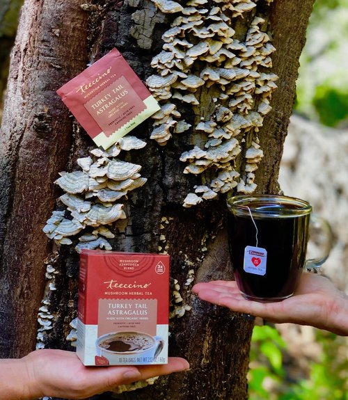 Teeccino Turkey Tail Astragalus - Toasted Maple - Caffeine Free Mushroom Adaptogenic Herbal Tea, 3x More Herbs than Regular Tea Bags, Lightly Sweet from Dates & Figs, Chicory Prebiotic - 10 Tea Bags