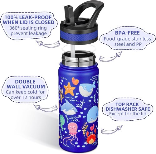 Fanhaw Kids Insulated Water Bottle - 18 Oz Stainless Steel, Leakproof, BPA Free | Blue Ocean